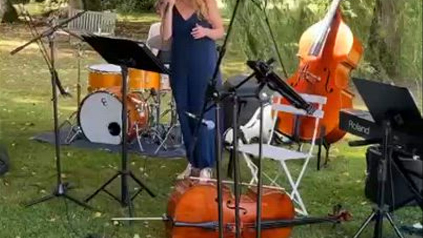 All about that bass