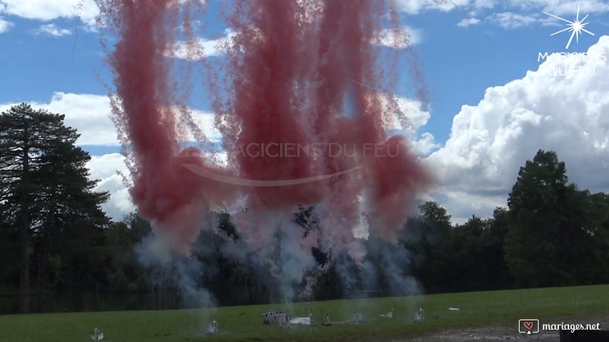 Feu d'artifice de jour Bleu et Rose tir droit