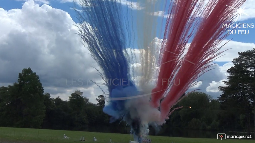 Feu d'artifice de jour tricolore bleu blanc rouge