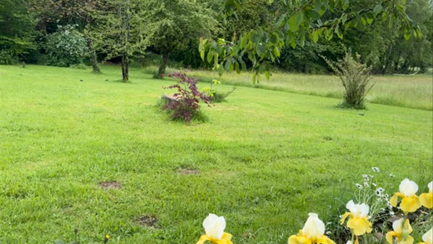 Parc Auvergnassou 