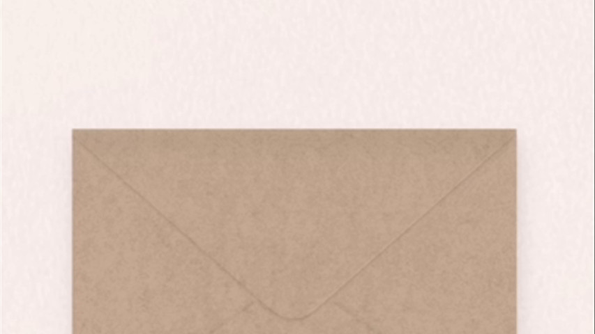 Faire-part digital - Bird Postal by Cotton Bird