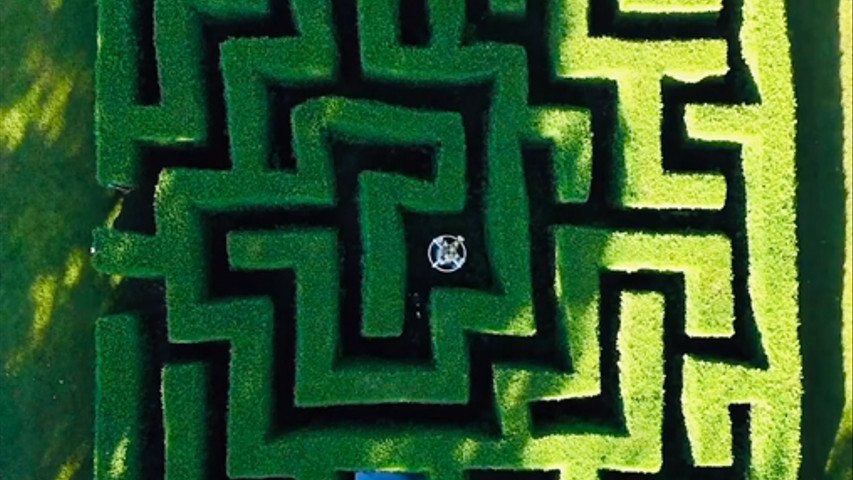 Labyrinthe 