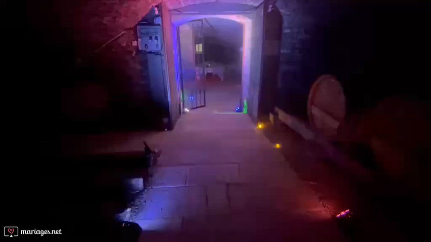 Une ambiance lumineuse à la hauteur de votre événement 