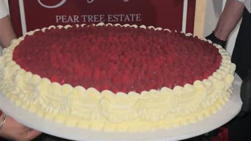 Gâteau à l'italienne recouvert de framboise 