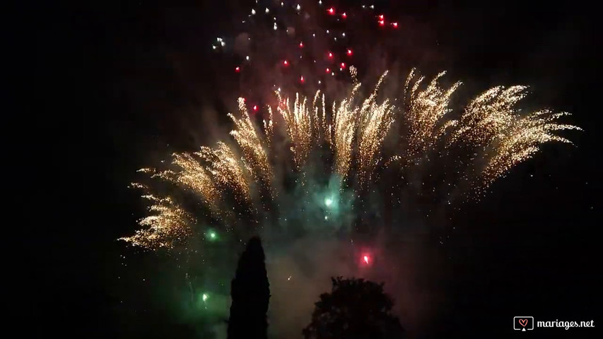 Fête de famille et feu dartifice