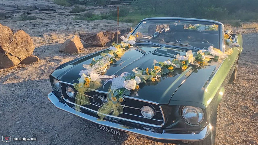 Ford Mustang 1967