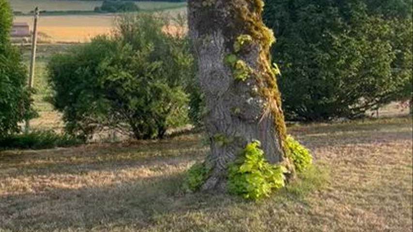 Maison Colletin