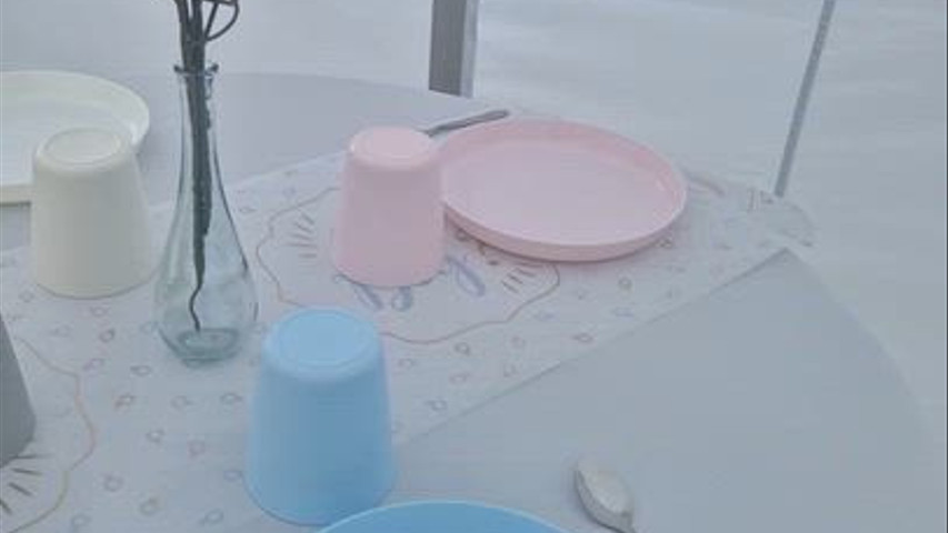 Gender reveal d'Audrey 