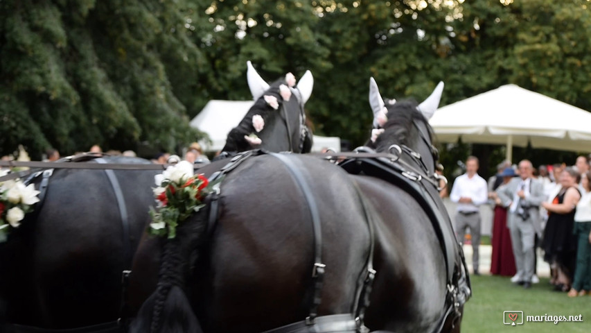 Mariage en calèche 