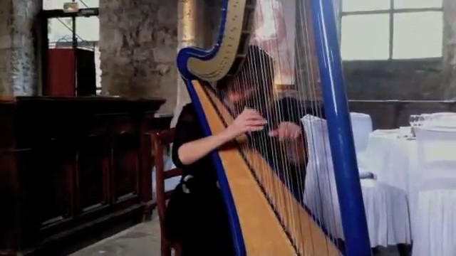 Extrait Wedding harpist