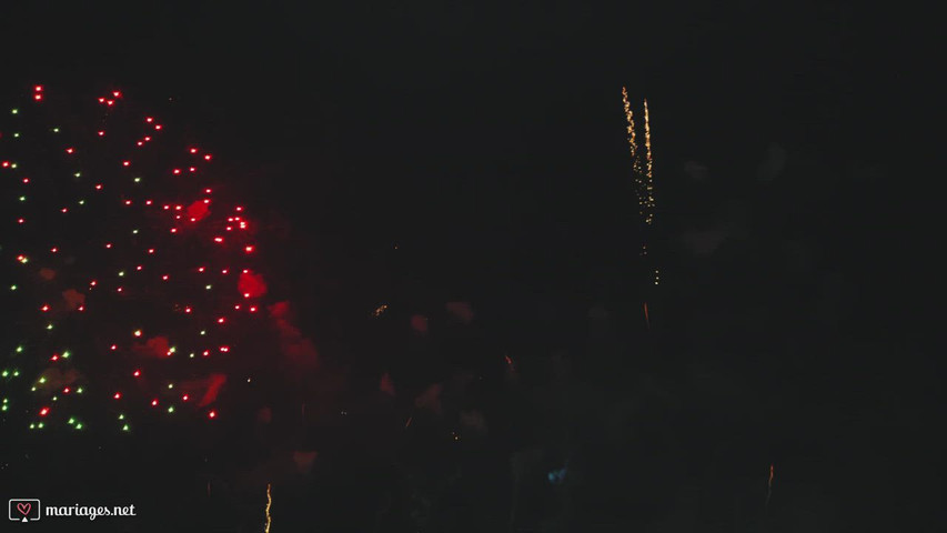 Feu d'artifice de nuit