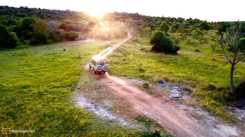 Voyage surprise en afrique 