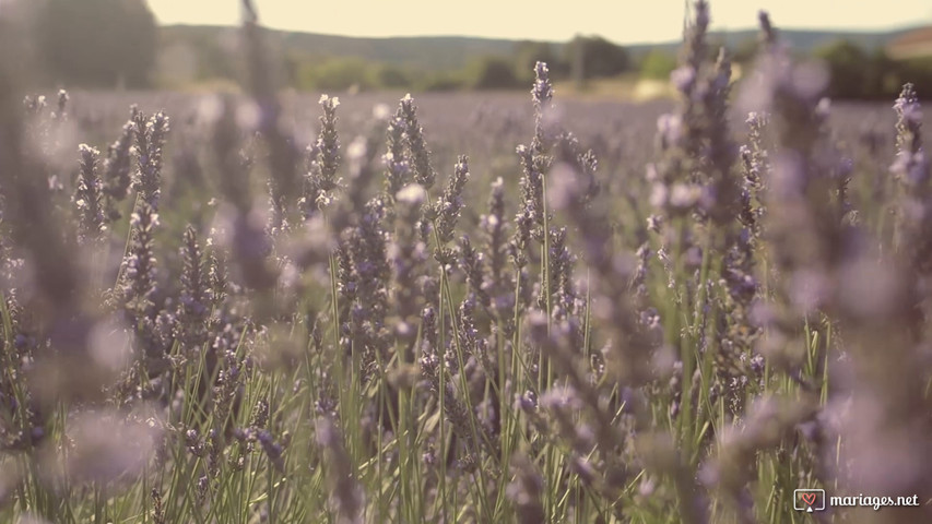 Violette et Damien le teaser 