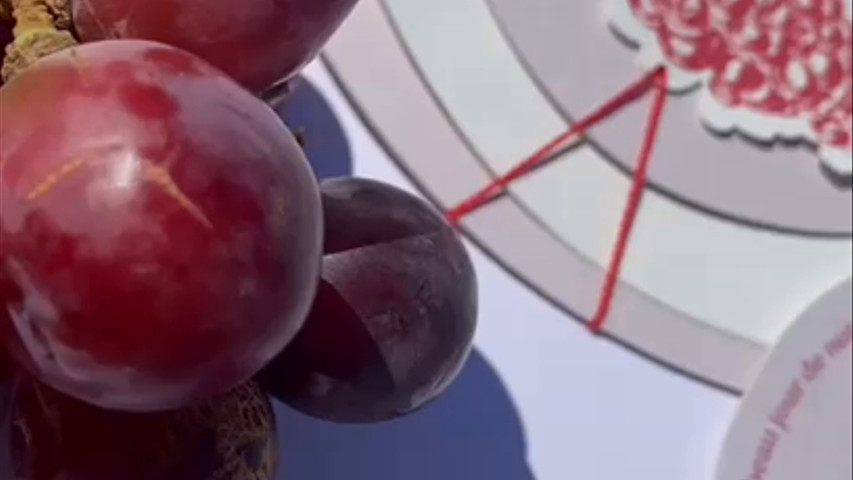 Amea studio - collection Grape