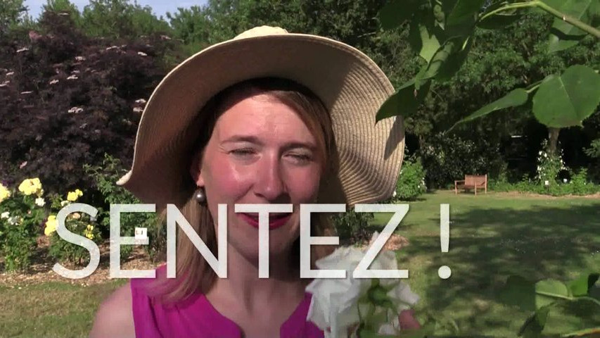 Roseraie - Les Chemins de la Rose