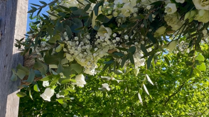 Arche blanche et verte 