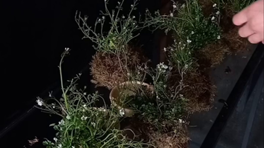 Le conseil que personne ne donne aux futurs marié.e.s quand ils choisissent une date pour leur beau jour !