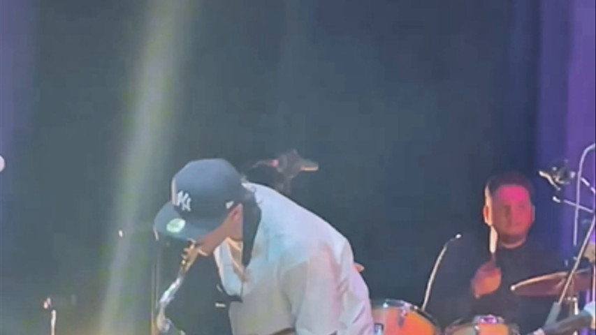 Concert