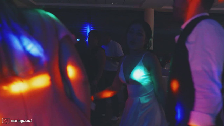 Pro DJ Anim