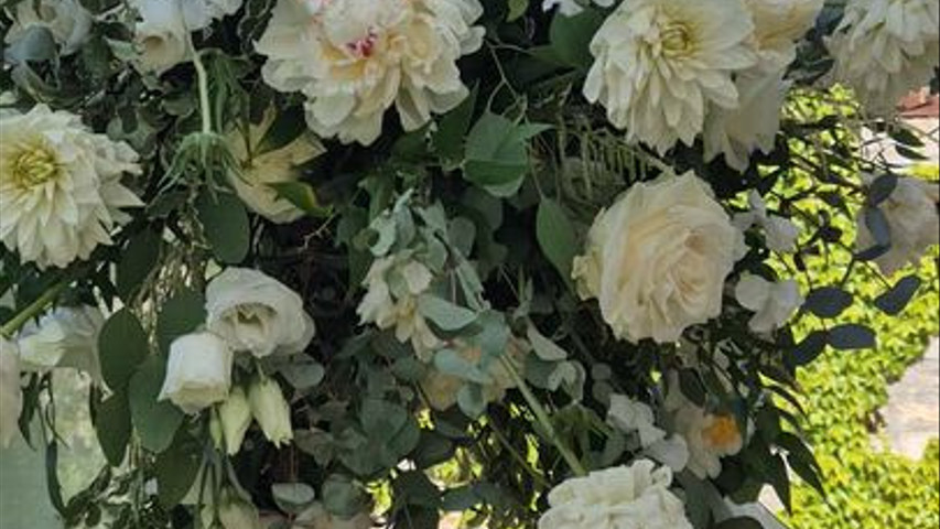 Vh le martroy 