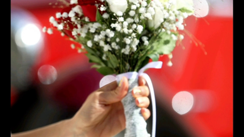 Love .. Photos de mariages Alexandre Peplaw