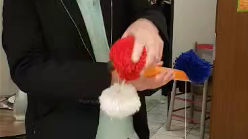 Les célèbres pompons magiques !