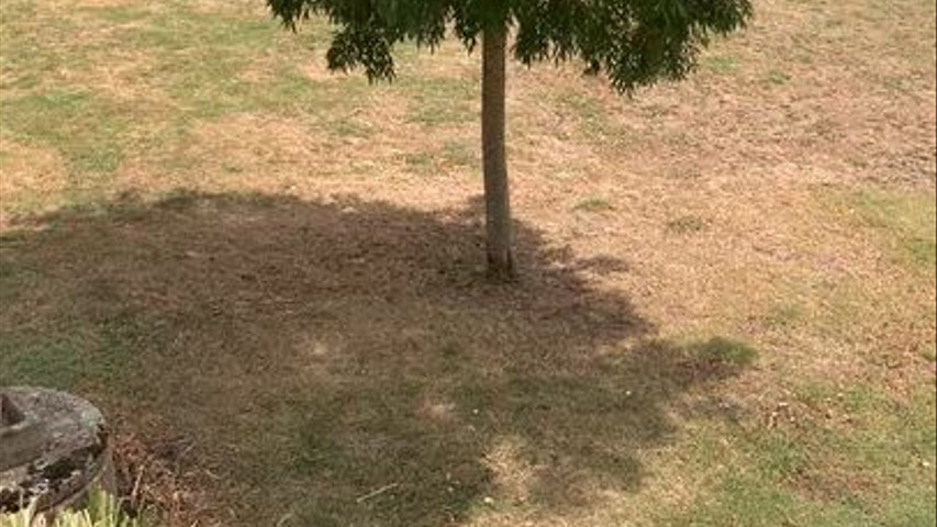 Gîte Cerf Ailé 