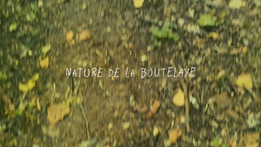 Nature à la Boutelaye