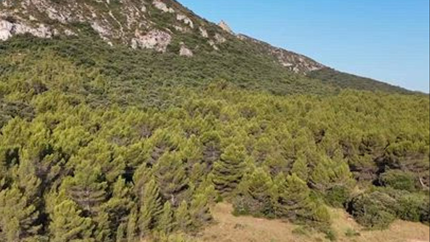 Domaine de Meyrol en plein coeur des Alpilles 