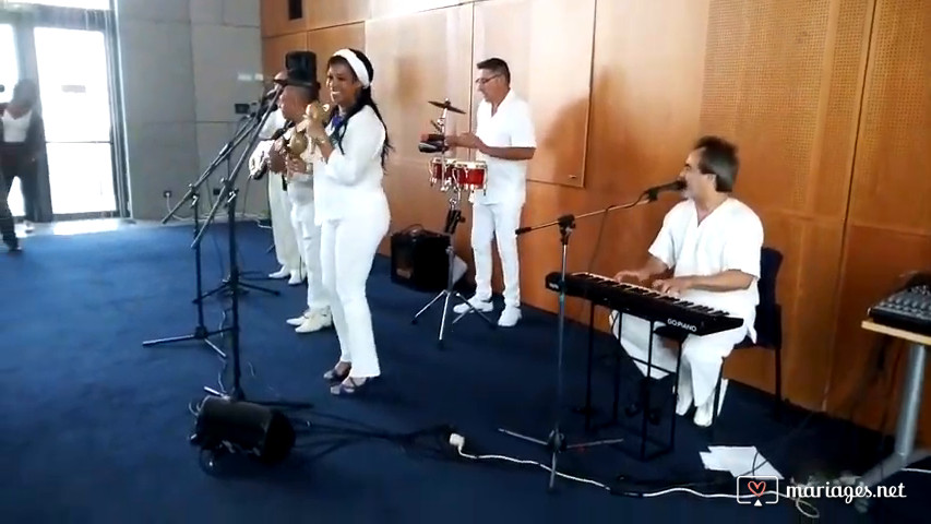 Formule combo salsa