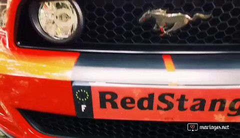 RedStang 