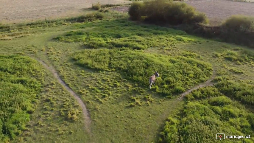 Le château le Withof vu du ciel 
