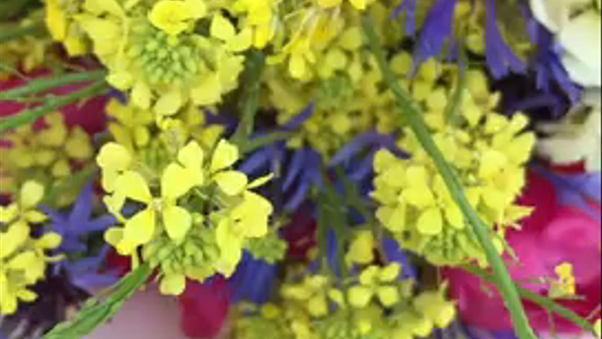 Bohème gipsy