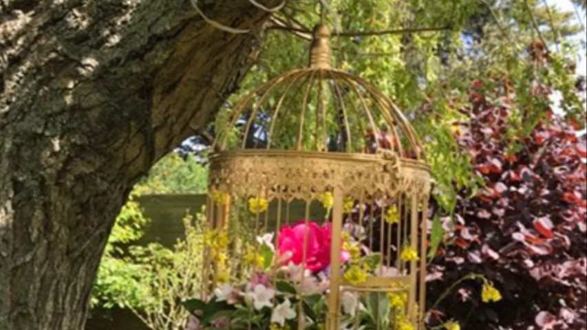Décoration de mariages 