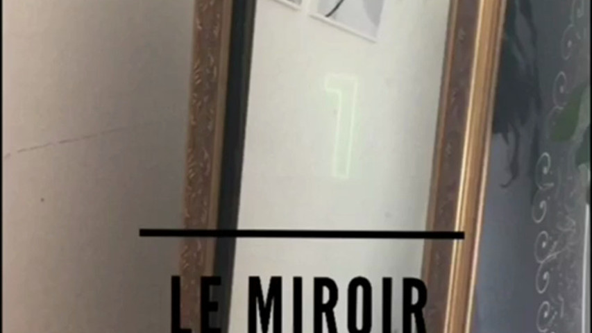 Le Miroir Lyon