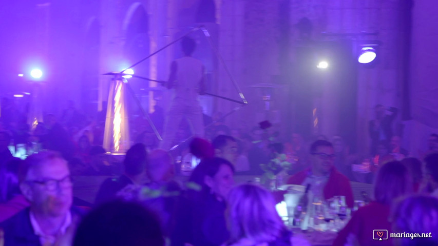 Plateau D'artistes - Format diner spectacle Animation d’accueil et performances déambulatoires