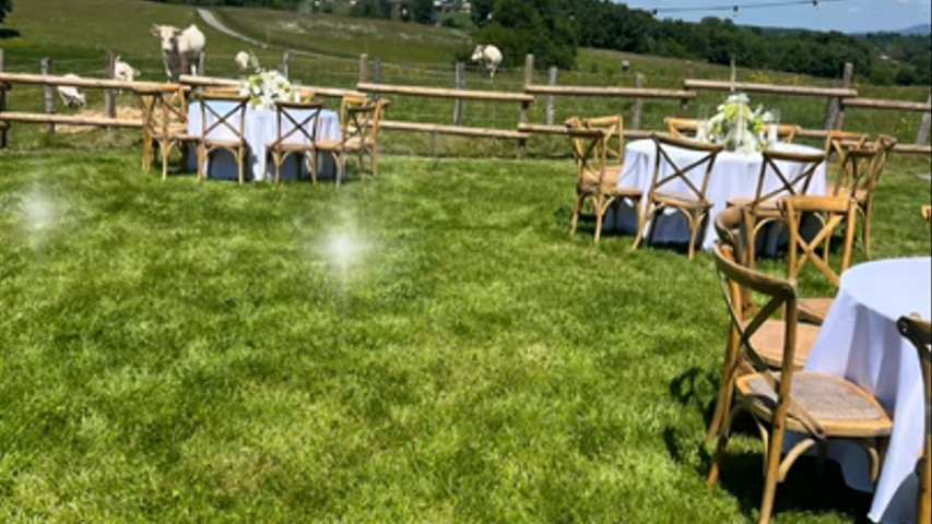 Garden party