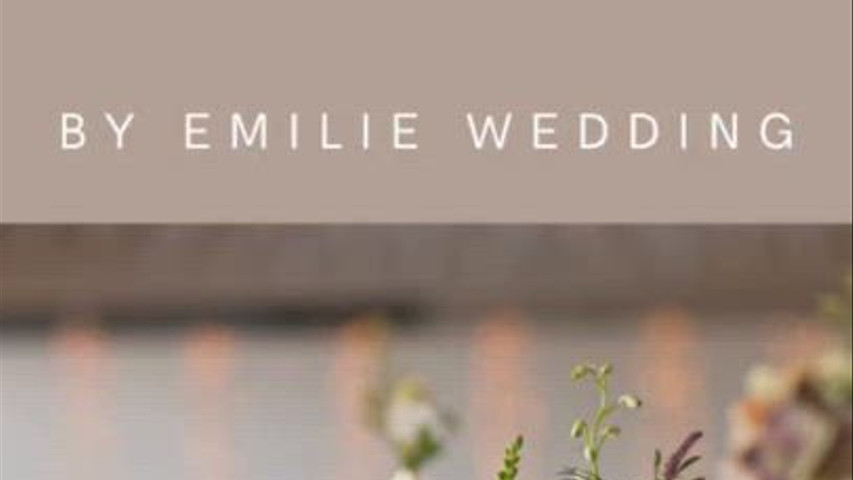 Qu'est-ce qui vous empêche de faire appel a une Wedding Planner ?