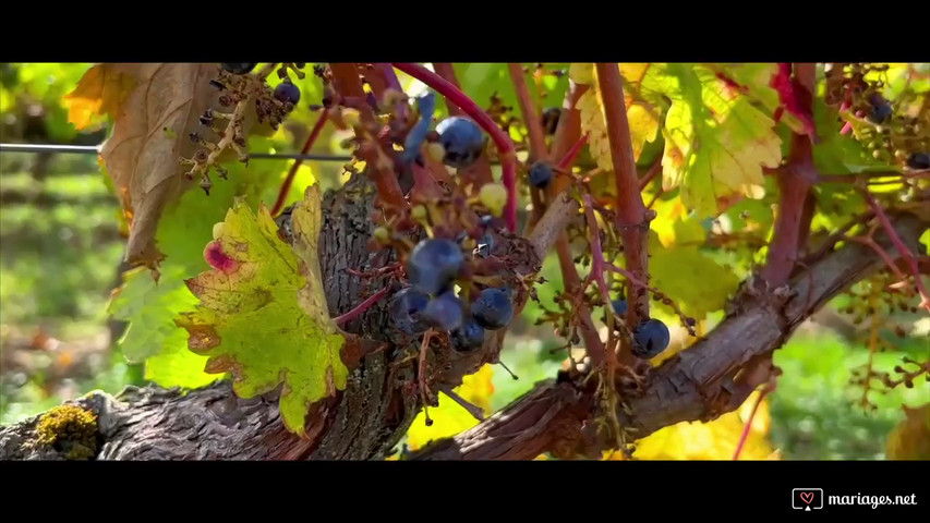 Video présentation du clos des mailles 