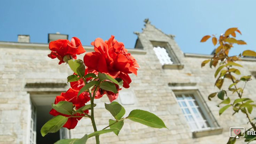 manoir du moustoir