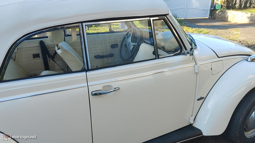Cox Cabriolet 1979