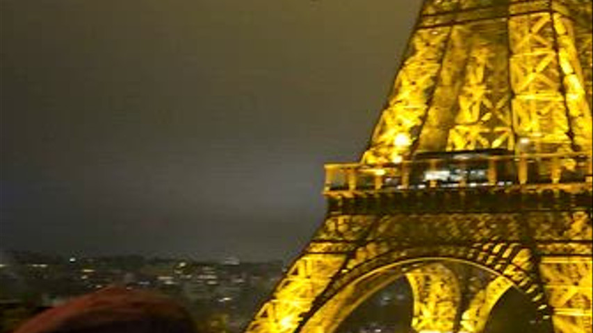 Paris Chic