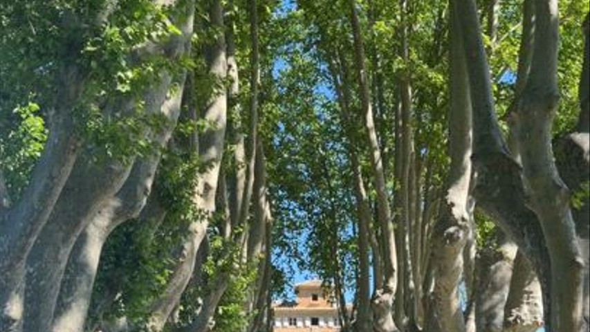 Château Pesquié 