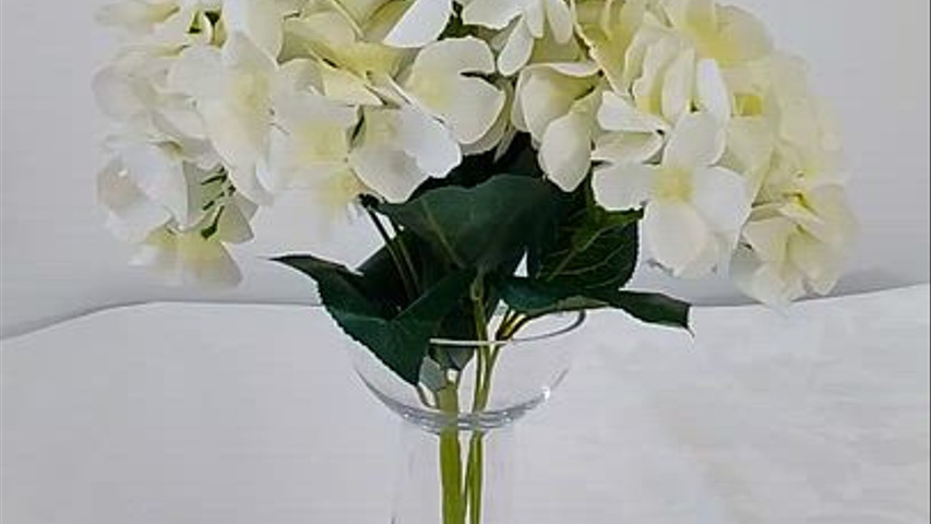 Mireille Déco Service