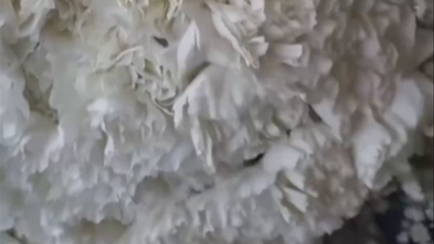 Le Bouquer de la mariée 