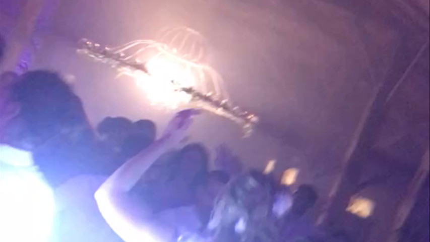 Dj François D