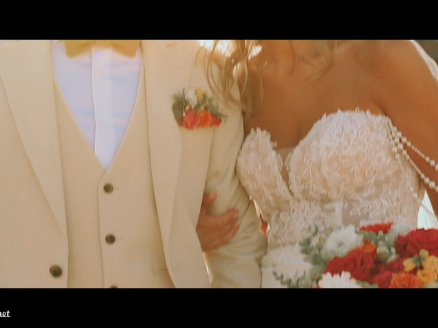 Le mariage de Aurélien et Joeëlle à Sainte-Cécile, Vendée 2