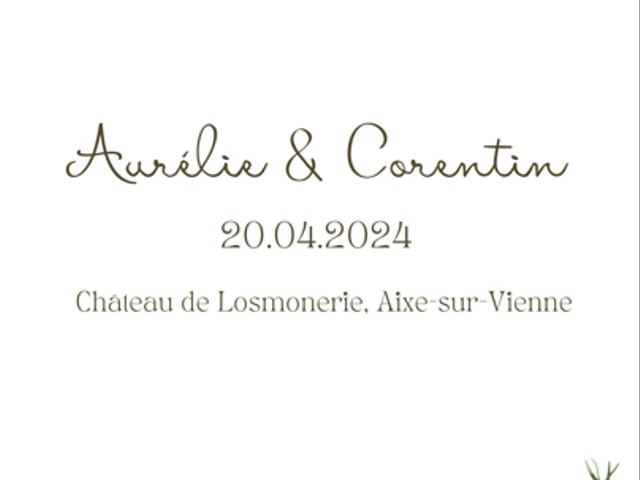 Le mariage de Corentin et Aurélie à Aixe-sur-Vienne, Haute-Vienne 1